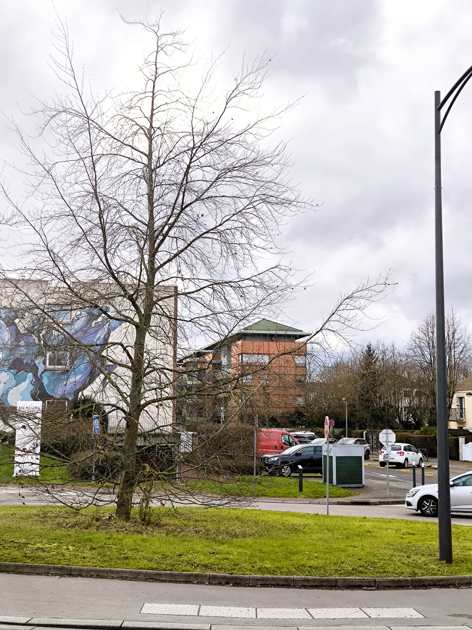 Centre, Carmargue, Bois Nogent